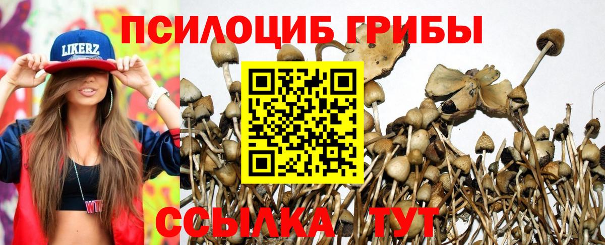Галлюциногенные грибы Cubensis Белая Калитва