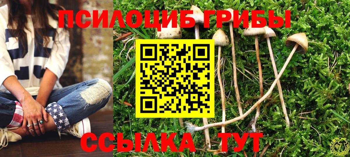 Белая Калитва  Галлюциногенные грибы Psilocybe  Вход с VPN 